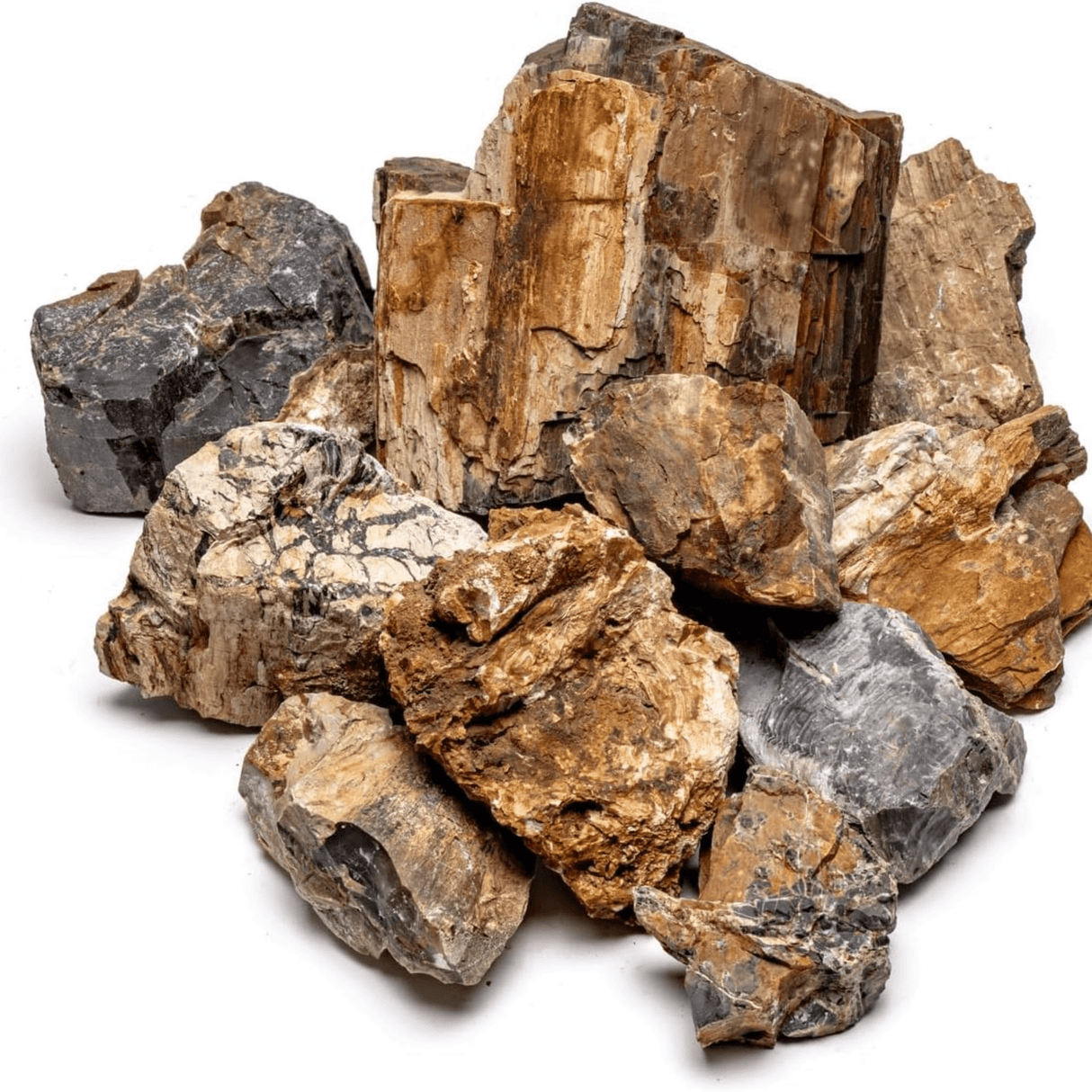 Petrified Wood Stone - The Aquascape Shop