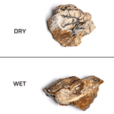 Petrified Wood Stone - The Aquascape Shop