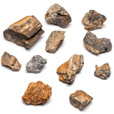 Petrified Wood Stone - The Aquascape Shop