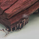 Flash Pleco (L204)