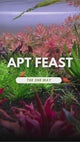 APT Feast Aquasoil