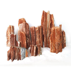 Red Petrified Wood Stone - The Aquascape Shop