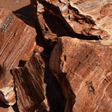 Red Petrified Wood Stone - The Aquascape Shop