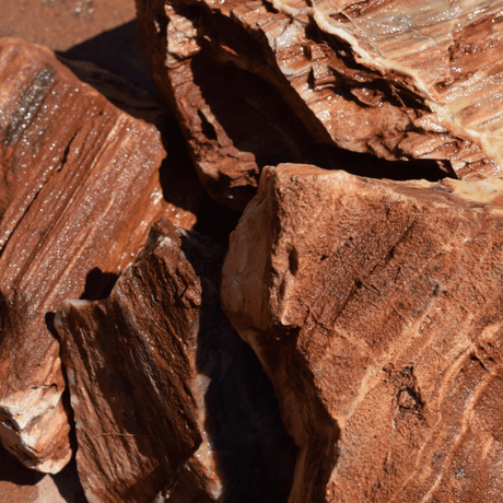 Red Petrified Wood Stone - The Aquascape Shop