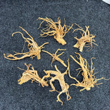 Spiderwood - The Aquascape Shop