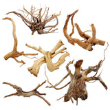 Spiderwood - The Aquascape Shop