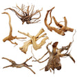 Spiderwood - The Aquascape Shop