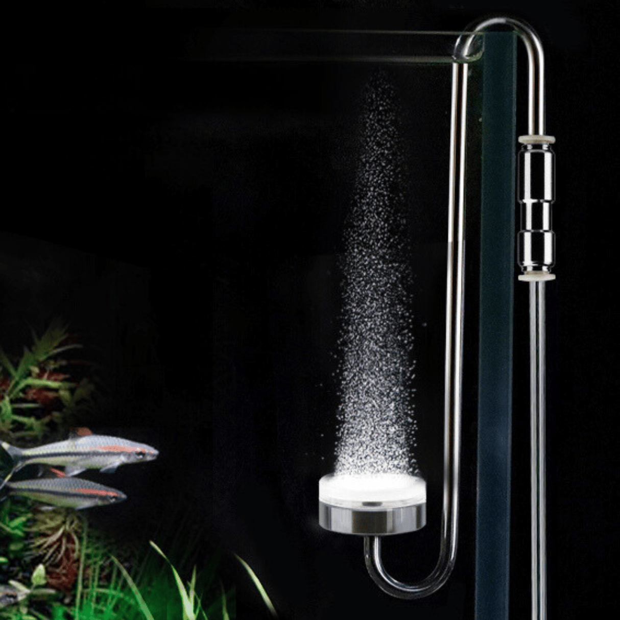 Stainless Steel Extended Co2 Diffuser - The Aquascape Shop