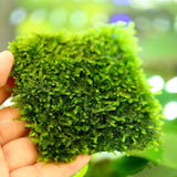 Stainless Steel Moss Mesh - The Aquascape Shop