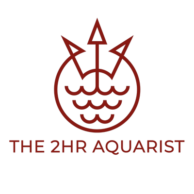 The 2HR Aquarist Aquarium Products