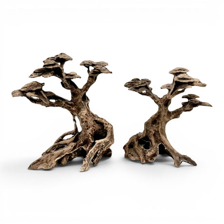 The Aquascape Shop Timeless Forest Set 2-piece resin bonsai tree aquarium hardscape with intricate details and naturalistic design.