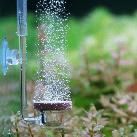 Twinstar Neo Co2 Diffuser - The Aquascape Shop