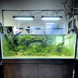 Week Aqua A Series RGB - UV LED - The Aquascape Shop