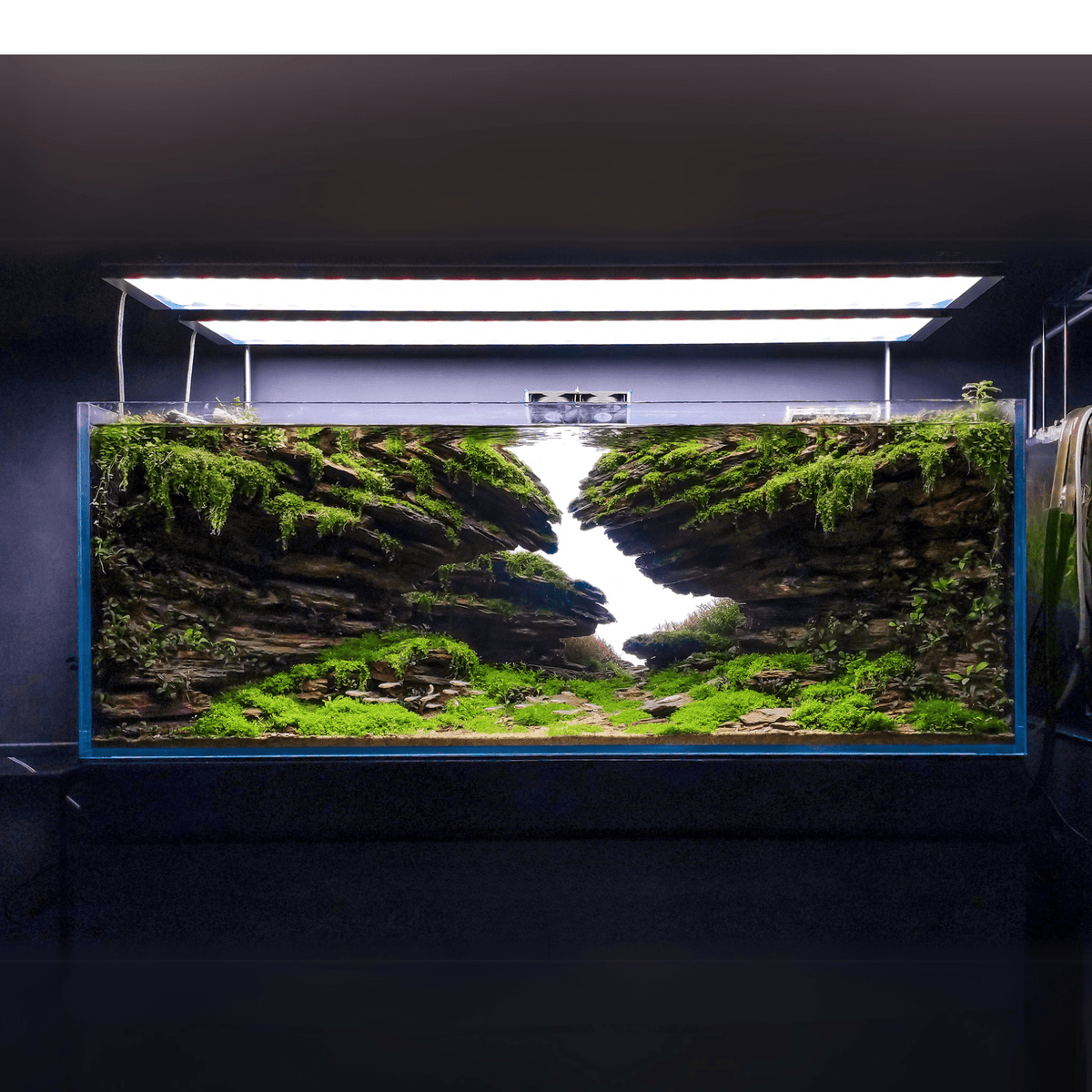 week-aqua-l-series-pro-k-rgb-