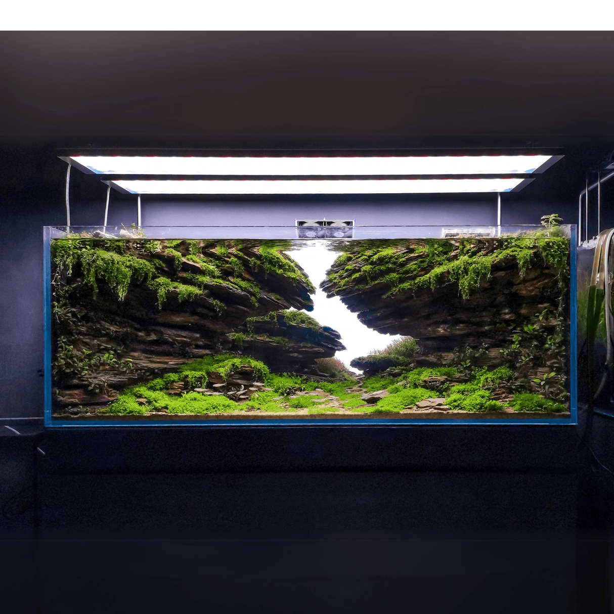 Week Aqua L Series PRO - K RGB - UV LED - The Aquascape Shop