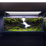 Week Aqua L Series PRO - K RGB - UV LED - The Aquascape Shop