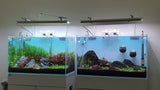 Week Aqua M Series WRGB - UV LED - The Aquascape Shop
