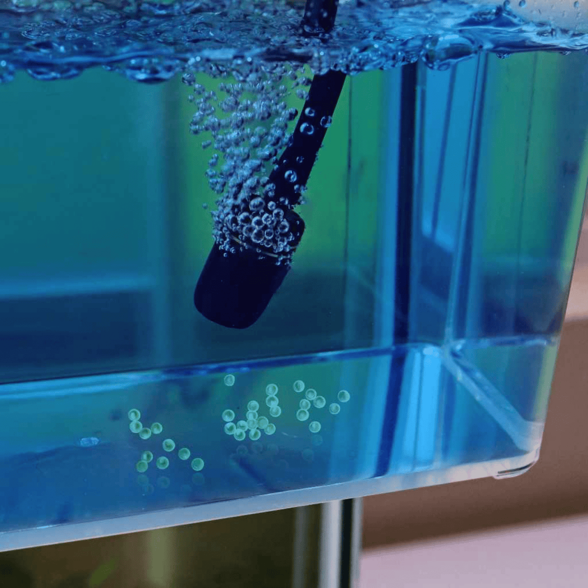 Wunder Methylene Blue 1% - The Aquascape Shop