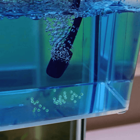 Wunder Methylene Blue 1% - The Aquascape Shop