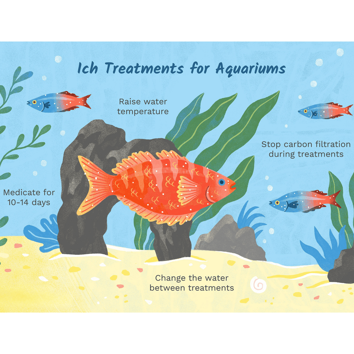 Wunder White Spot Cure - The Aquascape Shop