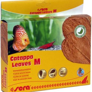 Sera Catappa Leaves