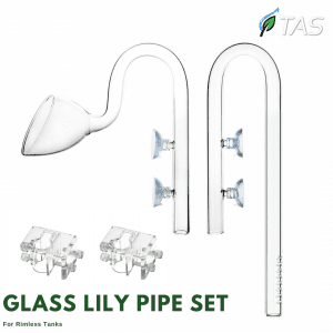 TAS Glass Lily Pipe Set