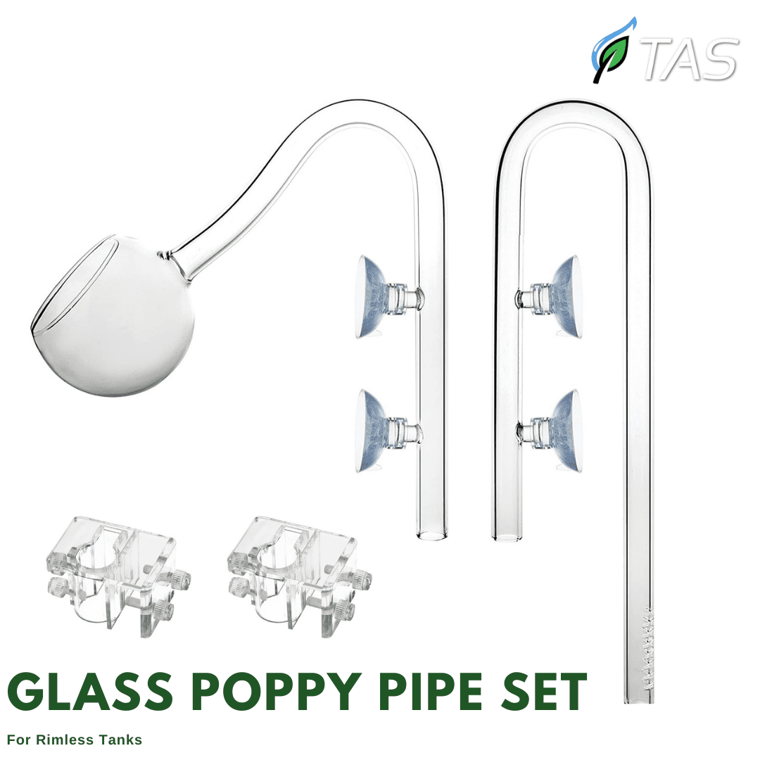 TAS Glass Poppy Pipe Set