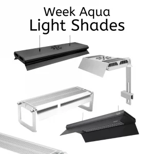 Week Aqua Light Shades